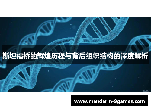 斯坦福桥的辉煌历程与背后组织结构的深度解析