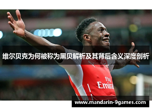 维尔贝克为何被称为黑贝解析及其背后含义深度剖析