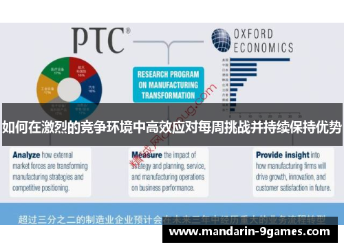 如何在激烈的竞争环境中高效应对每周挑战并持续保持优势